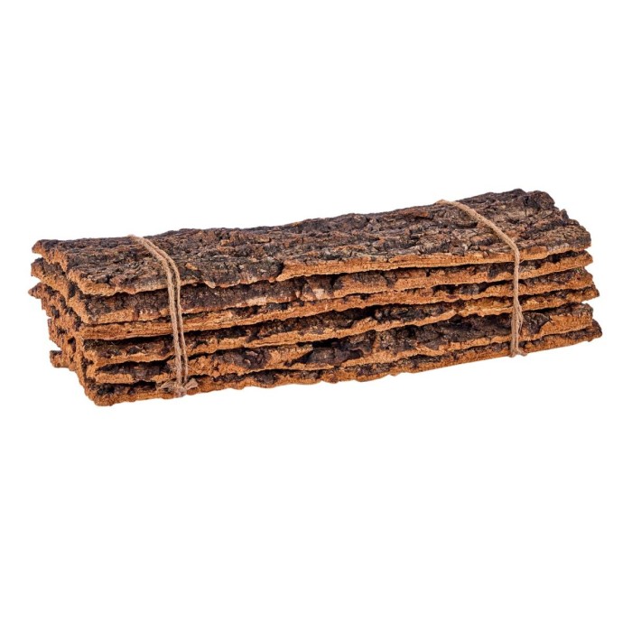 BUNCH LEGNETTI CM.50x16x12